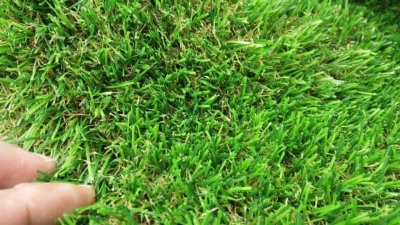 Thảm cỏ nhân tạo_Artificial Lawn
