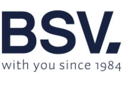 BSV Electronic’s ( BSV Salt Chlorinators) _Pool & Sauna